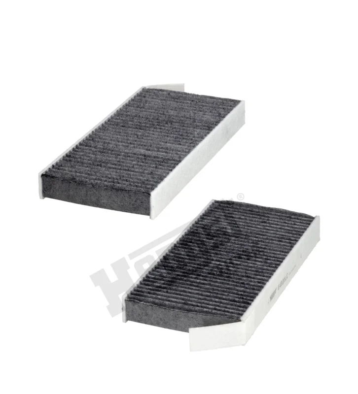 risnedsättning Cabin filter