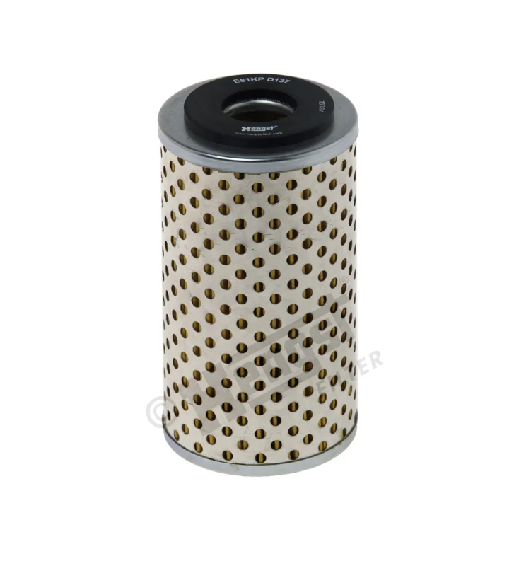 Reapris Fuel filter