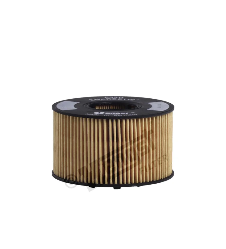 Expressleverans Oil filter